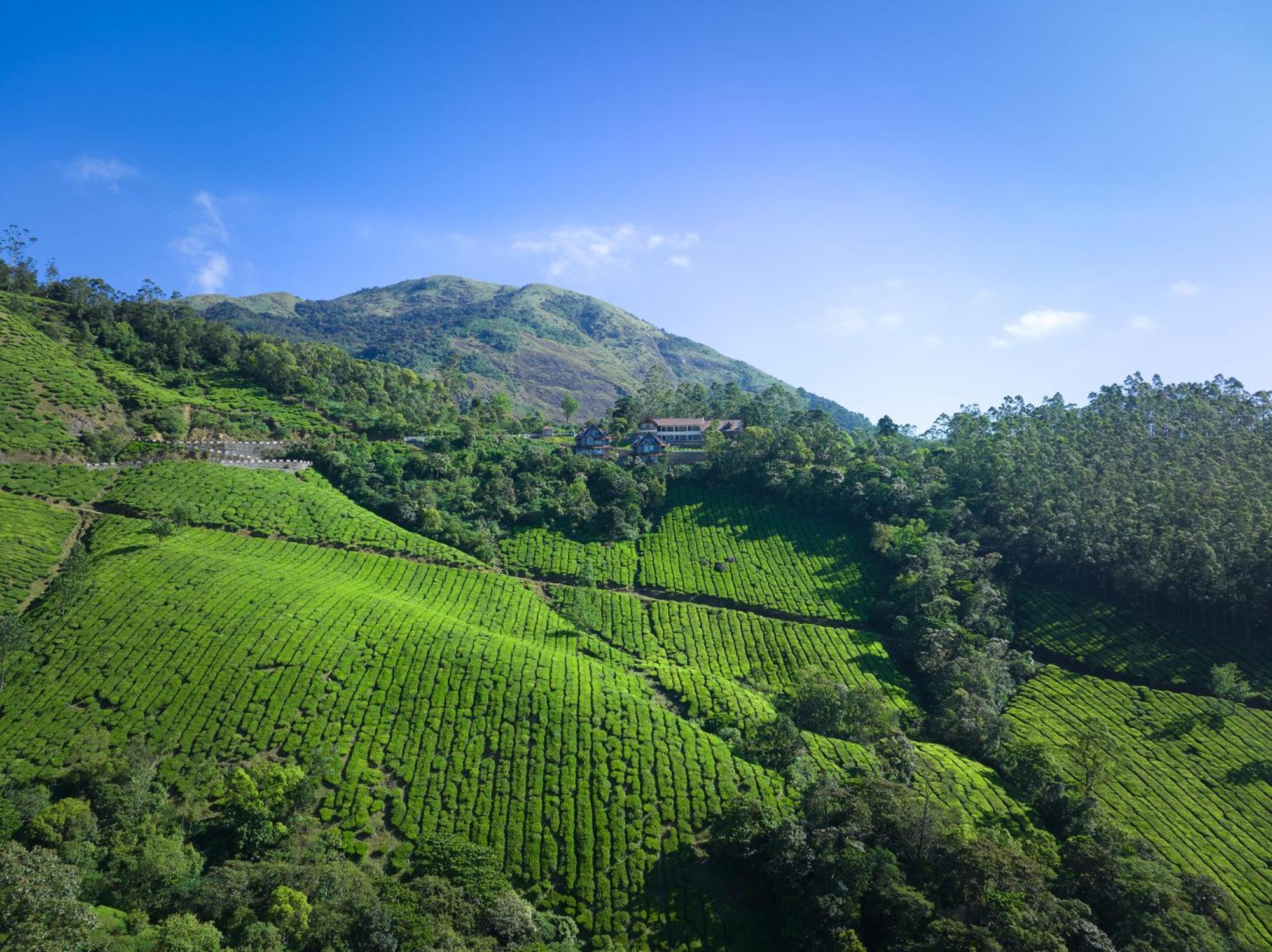 The Planet Munnar Hotel Suryanelli ภายนอก รูปภาพ